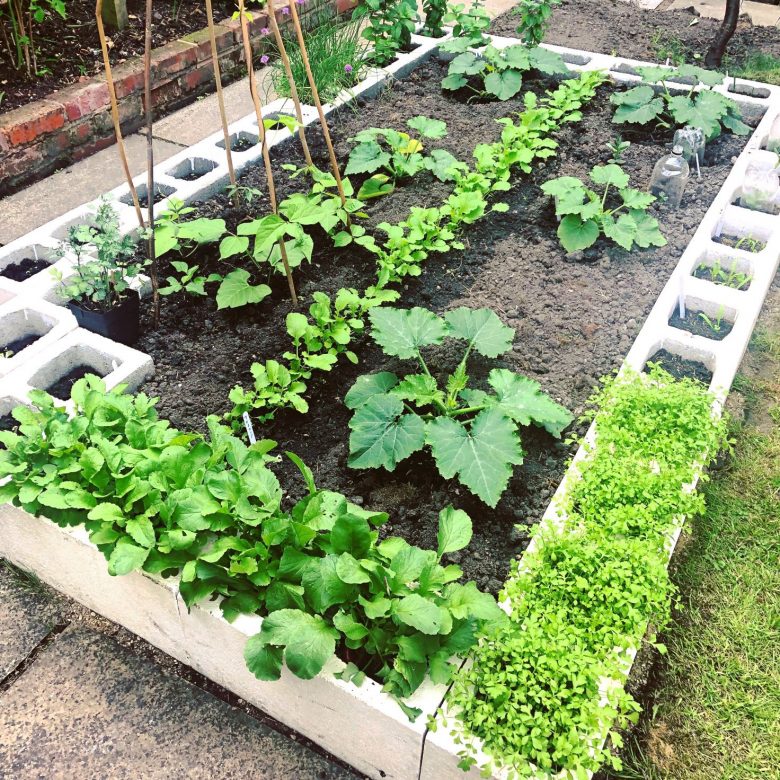 a very clever affordable veg bed made from hollow concrete blocks